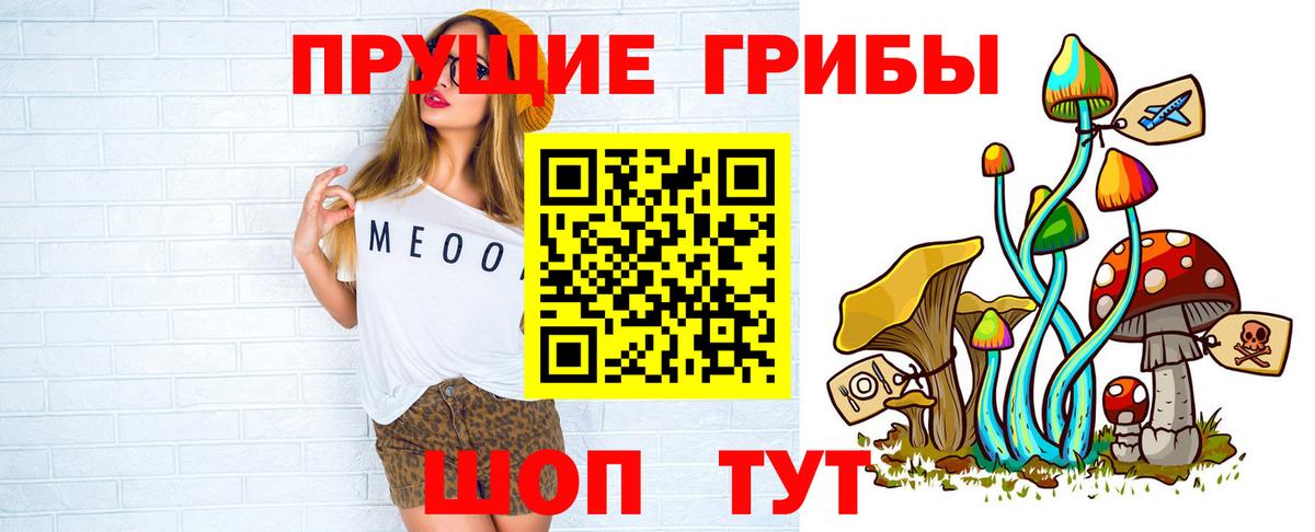 Галлюциногенные грибы Cubensis  Галлюциногенные грибы ЛСД  Вход с VPN  Кинель 