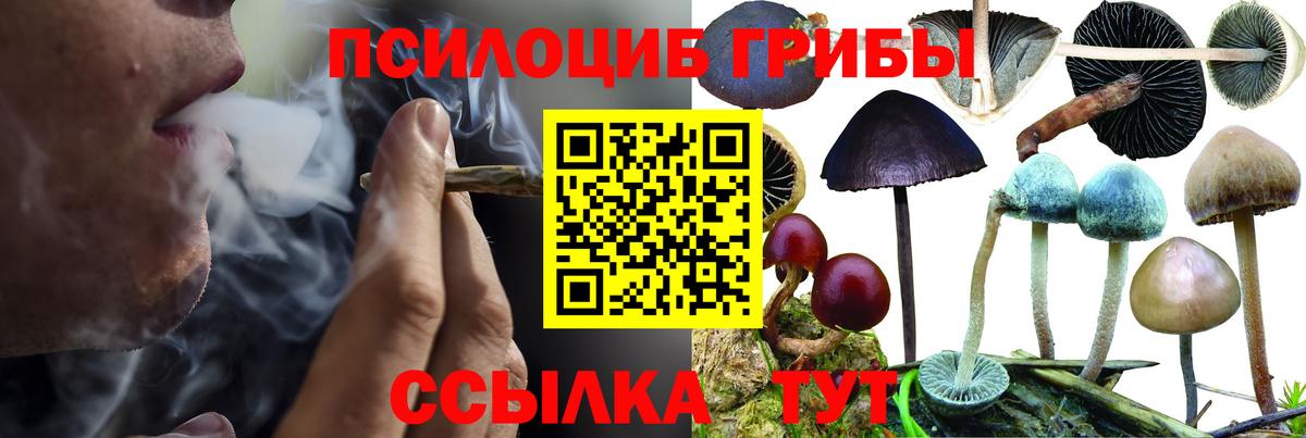 Галлюциногенные грибы мухоморы Кинель